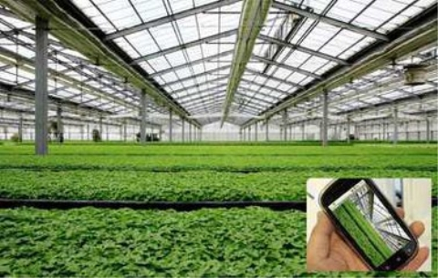 物聯網卡智慧農業(yè)解決方案