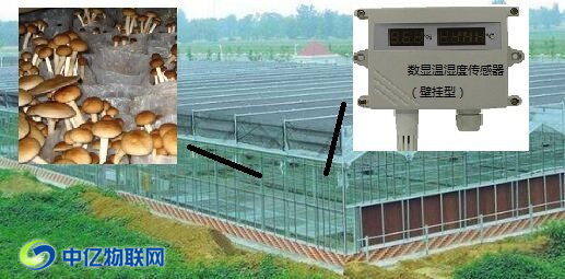 物聯(lián)網(wǎng)解決方案之智慧農(nóng)業(yè)茶樹(shù)菇種植智能管理系統(tǒng) 物聯(lián)網(wǎng)解決方案之智慧農(nóng)業(yè)茶樹(shù)菇種植智能管理系統(tǒng)