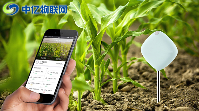 物聯(lián)網(wǎng)卡運(yùn)用在農(nóng)作物管理上會(huì)怎么樣？