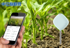 物聯(lián)網(wǎng)卡運(yùn)用在農(nóng)作物管理上會(huì)怎么樣？