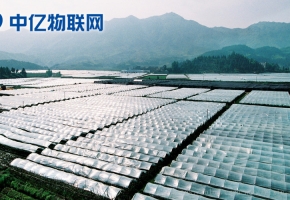 移動物聯(lián)卡讓農業(yè)物聯(lián)網(wǎng)智能化!