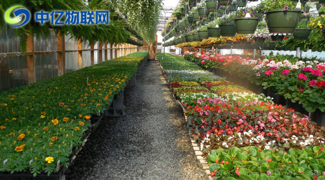 電信物聯(lián)卡是如何應(yīng)用到智慧農(nóng)業(yè)大棚的？