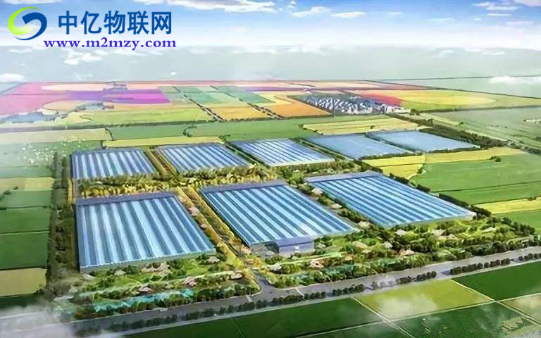 農(nóng)業(yè)物聯(lián)網(wǎng)是如何實現(xiàn)農(nóng)業(yè)生產(chǎn)精致化？