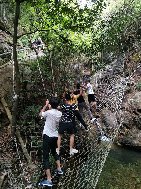 IMG_20190727_104738 IMG_20190727_104738