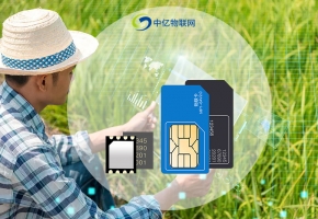 物聯(lián)網(wǎng)技術(shù)助力農(nóng)業(yè)實現(xiàn)“科學種植、綠色發(fā)展”！
